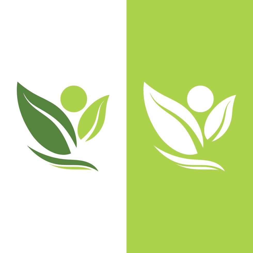 logotipos de la ecología de la hoja del árbol verde vector