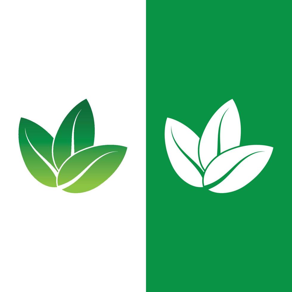 logotipos de la ecología de la hoja del árbol verde vector