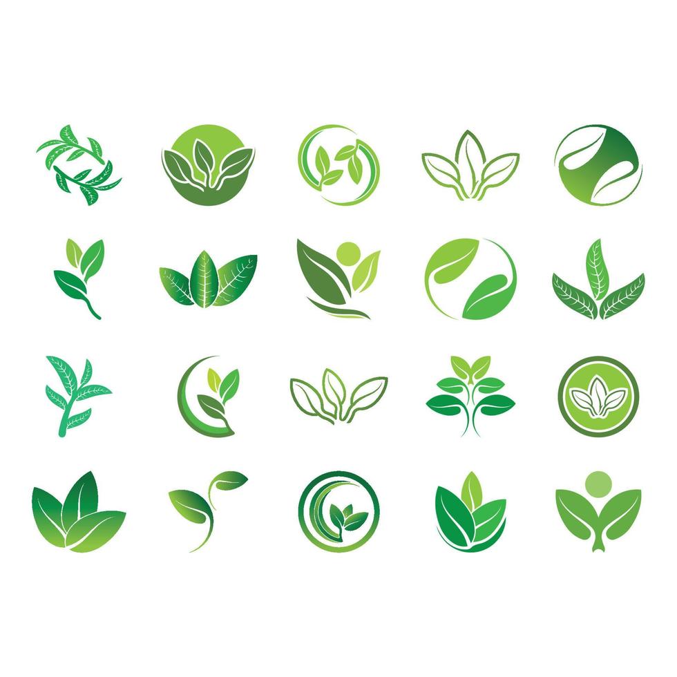 Logos of green tree leaf ecology vector