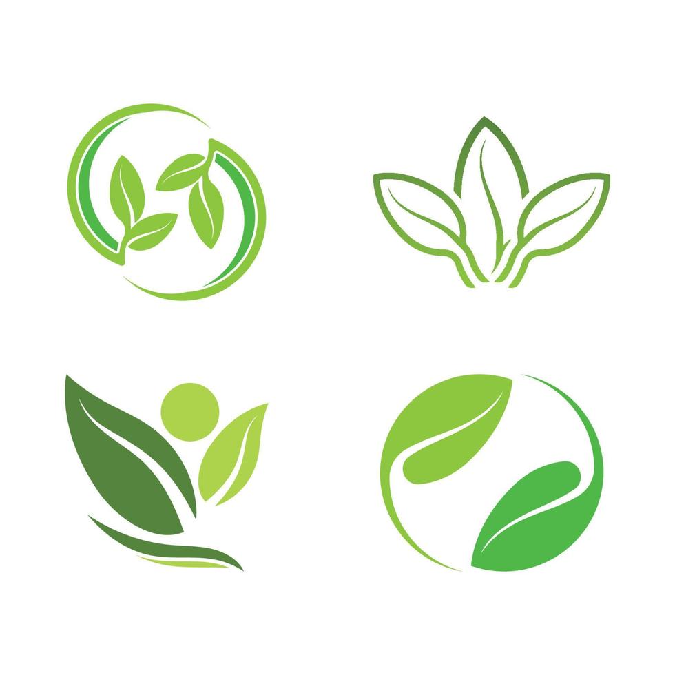 Logos of green tree leaf ecology vector