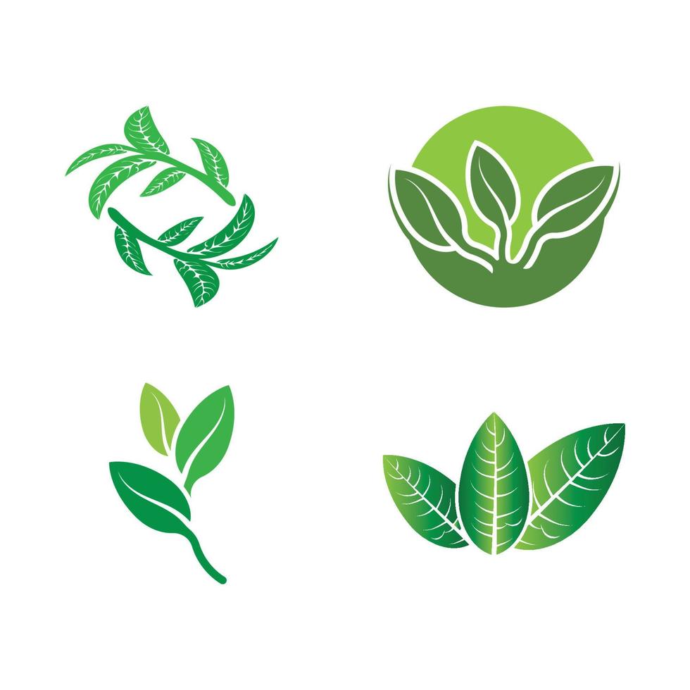 Logos of green tree leaf ecology vector