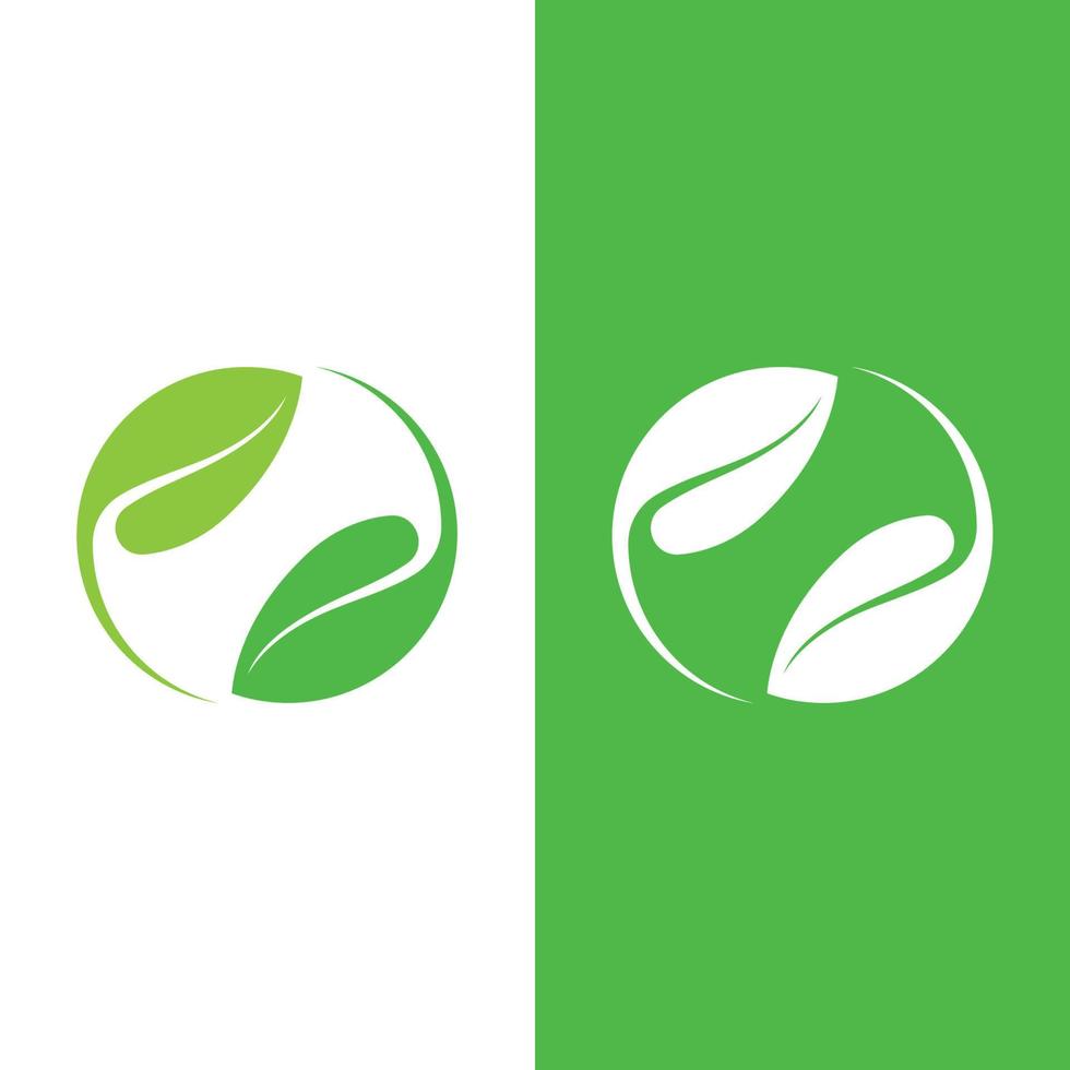 Logos of green tree leaf ecology vector