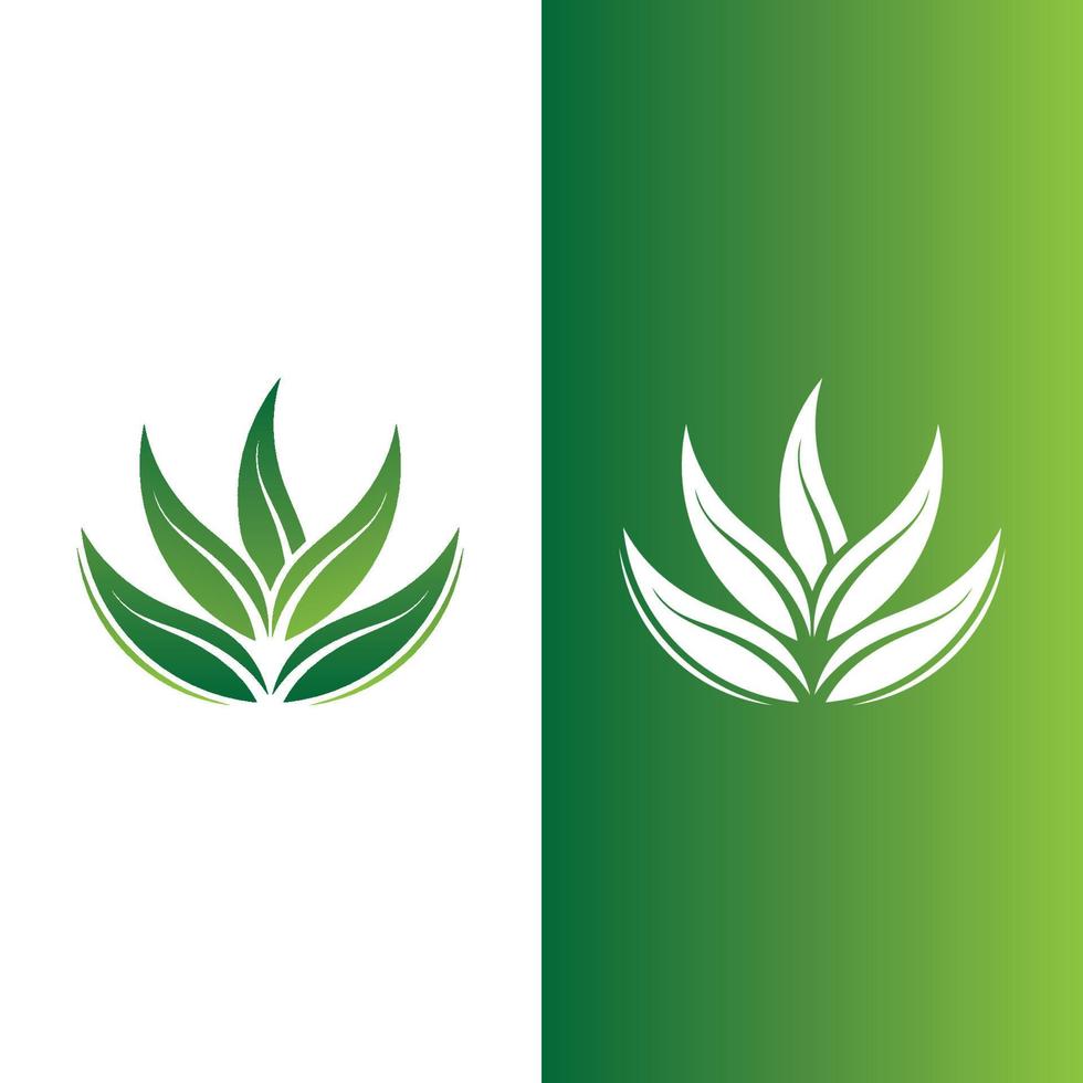 logotipos de la ecología de la hoja del árbol verde vector