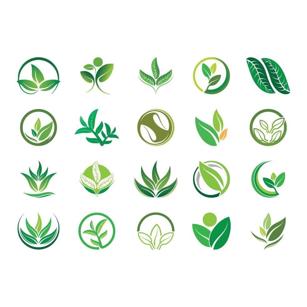 Logos of green tree leaf ecology vector