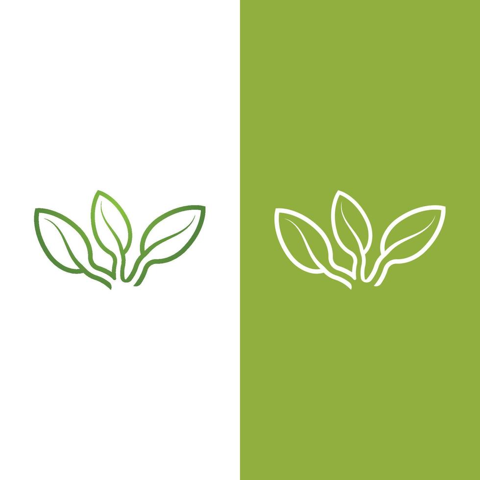 logotipos de la ecología de la hoja del árbol verde vector