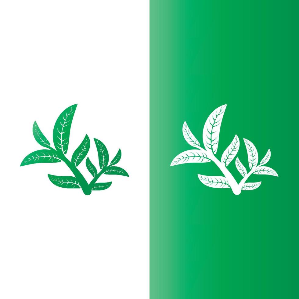 logotipos de la ecología de la hoja del árbol verde vector