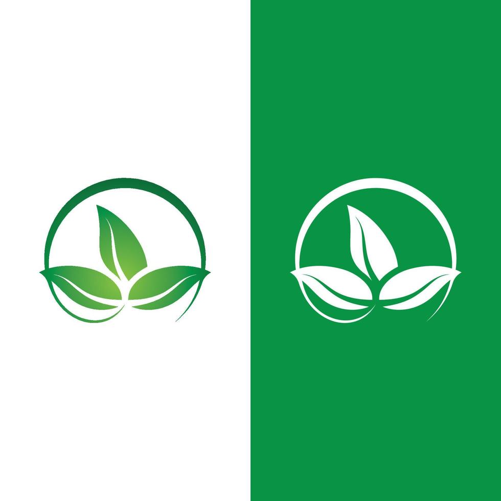 Logos of green tree leaf ecology vector