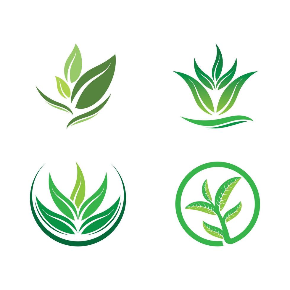 Logos of green tree leaf ecology vector