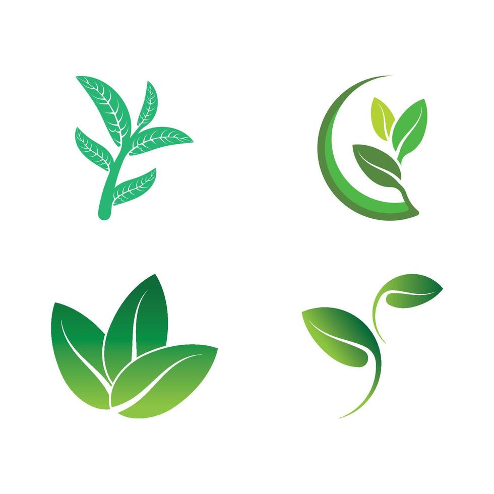 Logos of green tree leaf ecology vector