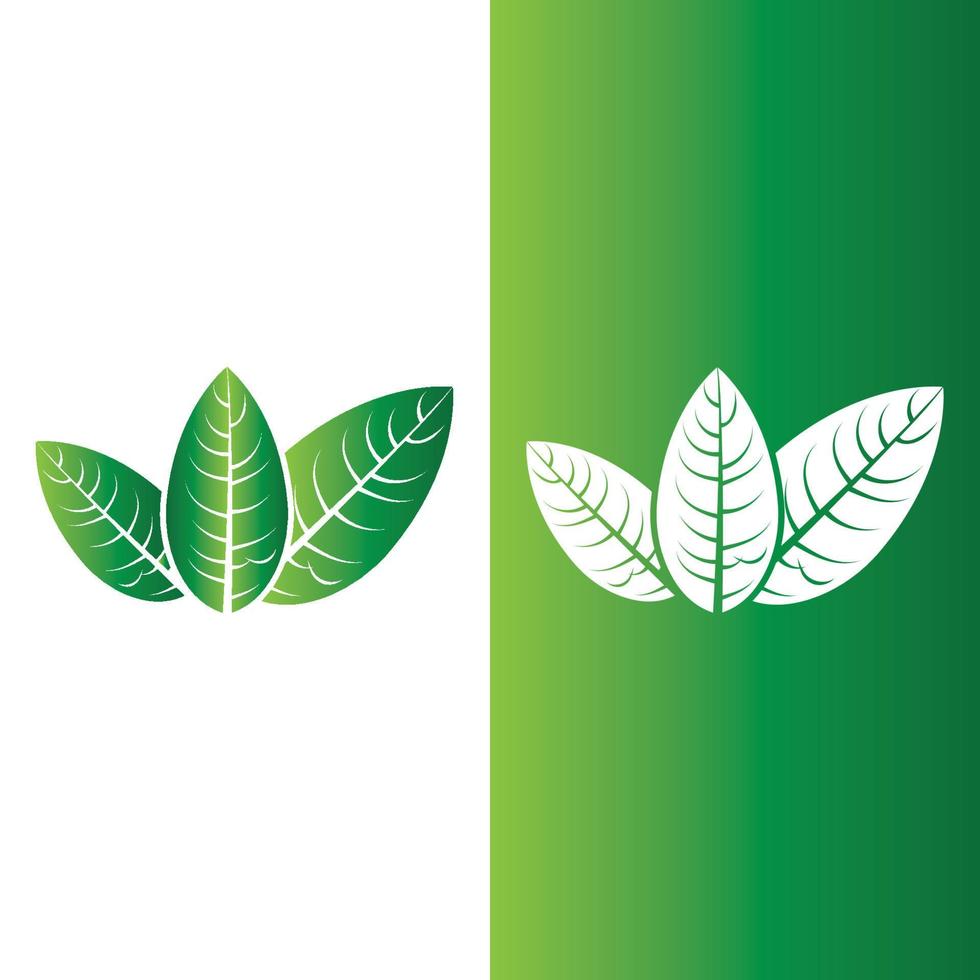 logotipos de la ecología de la hoja del árbol verde vector