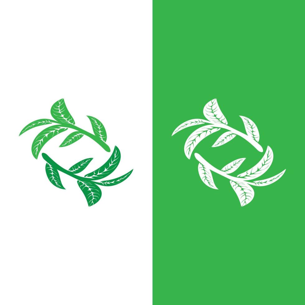 logotipos de la ecología de la hoja del árbol verde vector