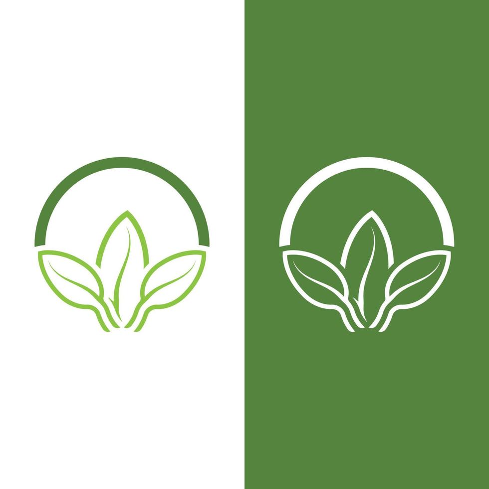 Logos of green tree leaf ecology vector