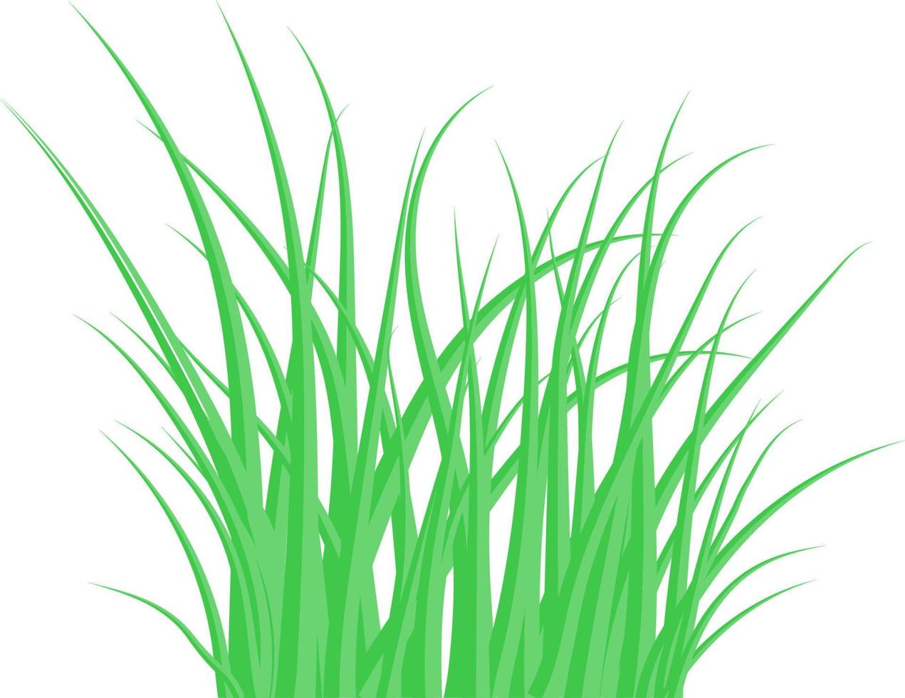 Green grass. The Bush grass. Vector illustration.