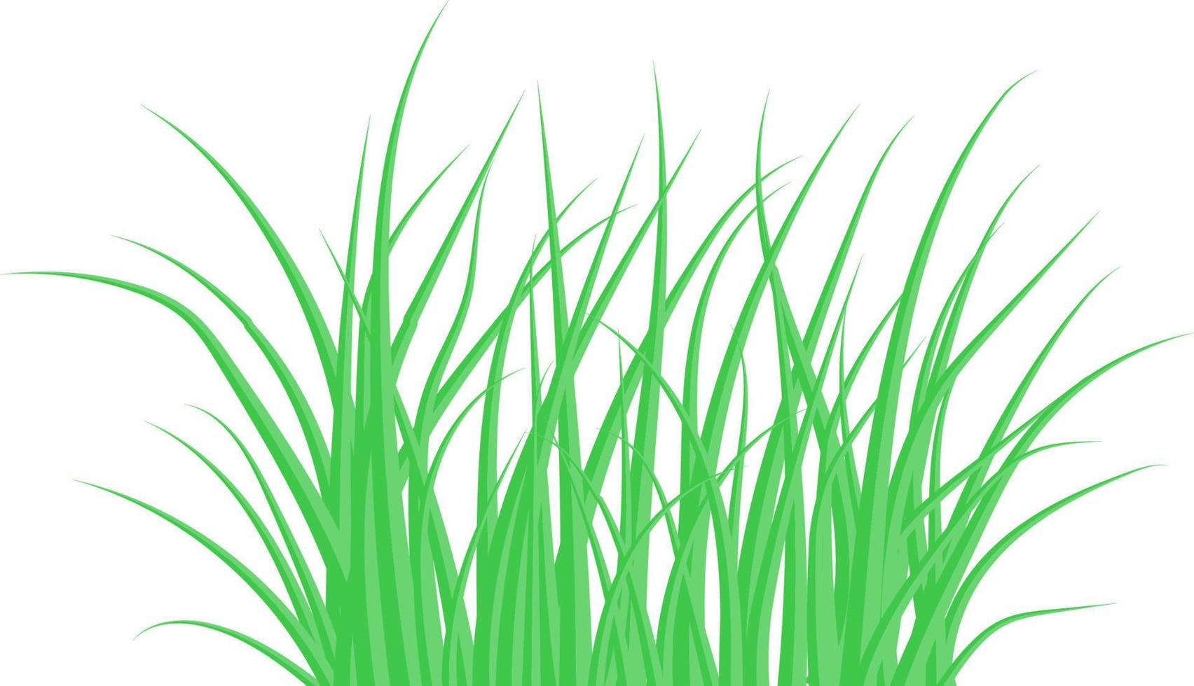 Green grass. The Bush grass. Vector illustration.