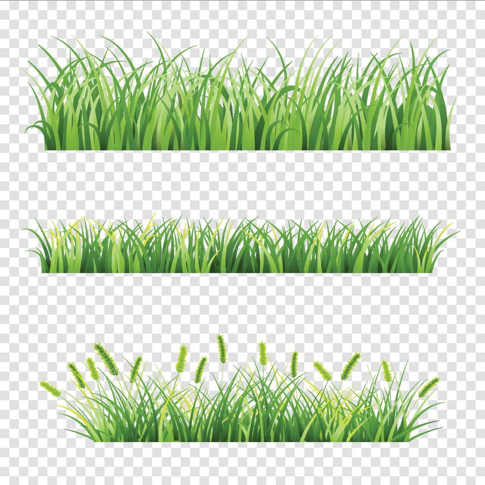 Various Grass Element vector