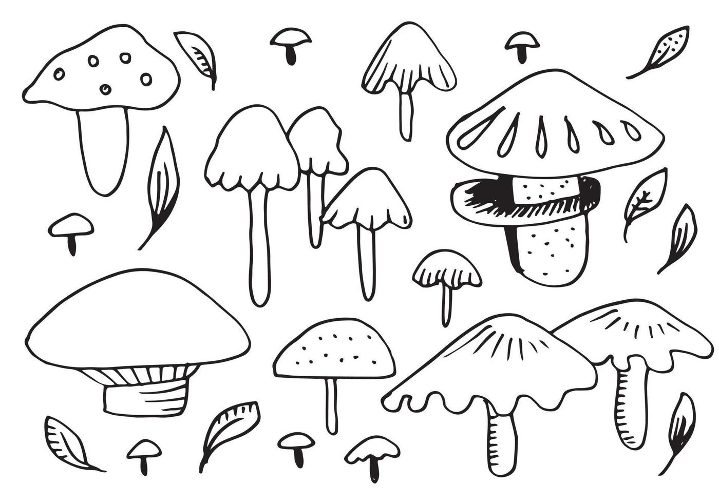 Vector doodle mushroom on white background. Illustration of healthy organic food