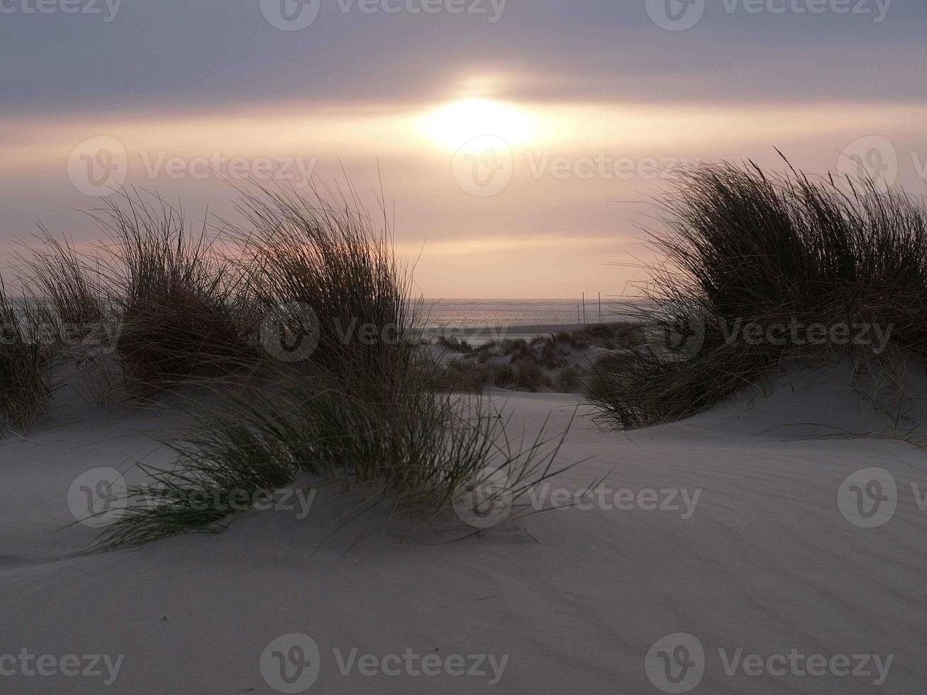 Borkum island in germany photo