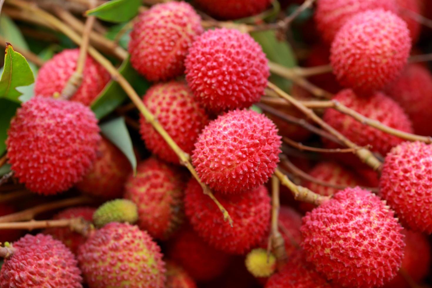 Lychees Fresh fruit a lot of them are sold for sale in the market. photo