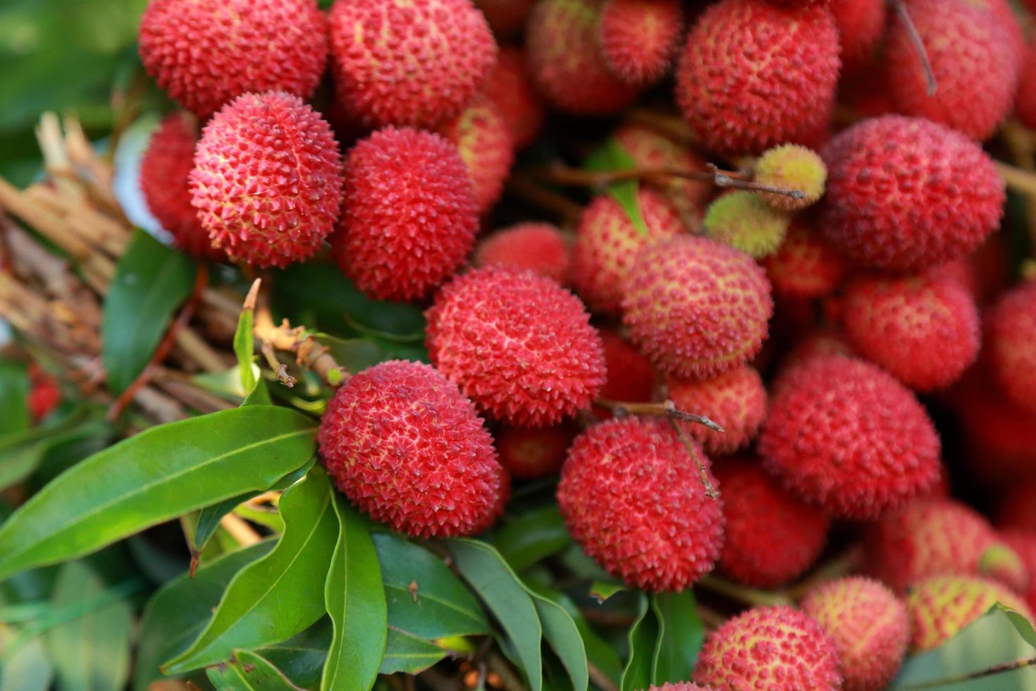 Lychees Fresh fruit a lot of them are sold for sale in the market. photo