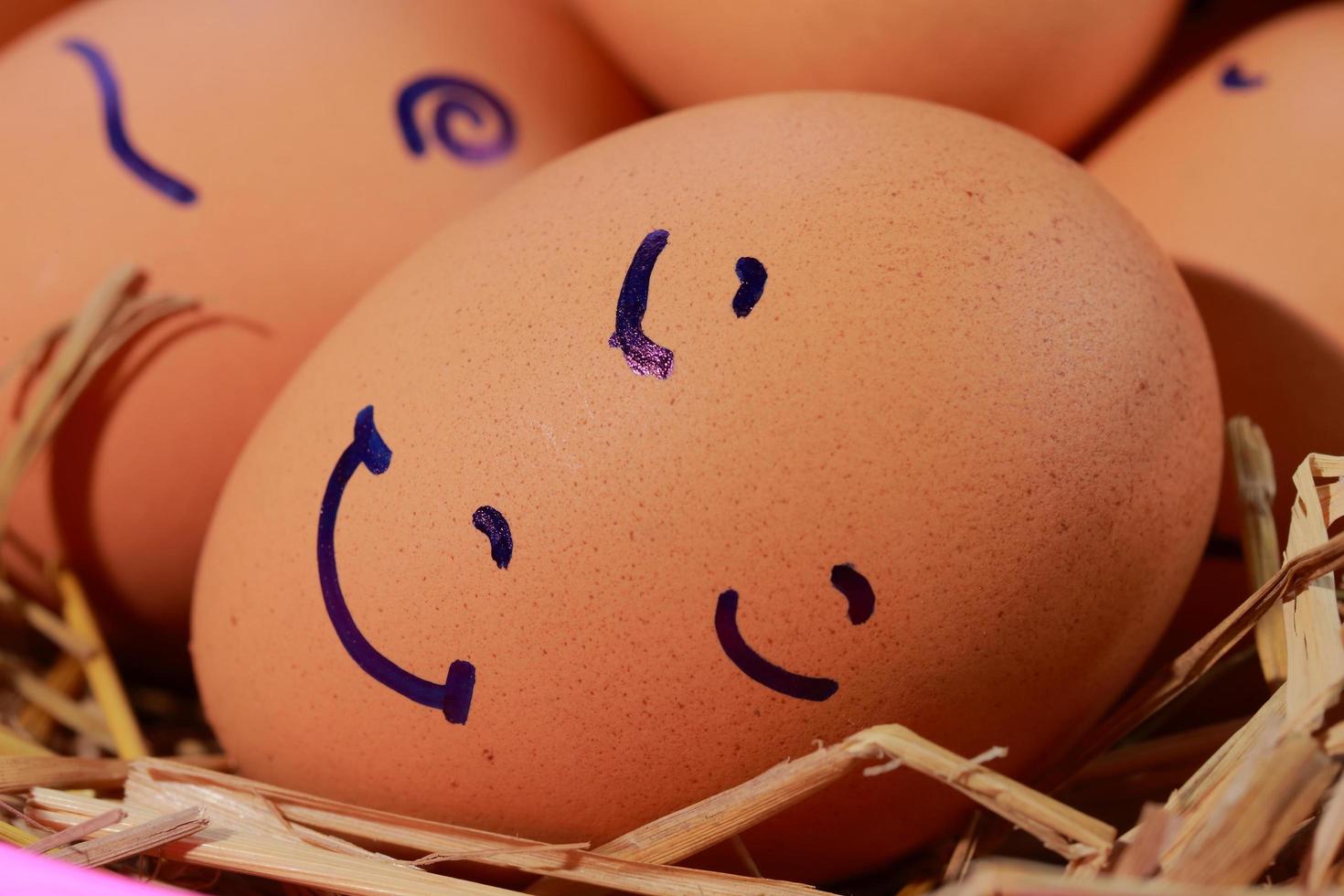 Emotion of fresh eggs  on a straw. photo