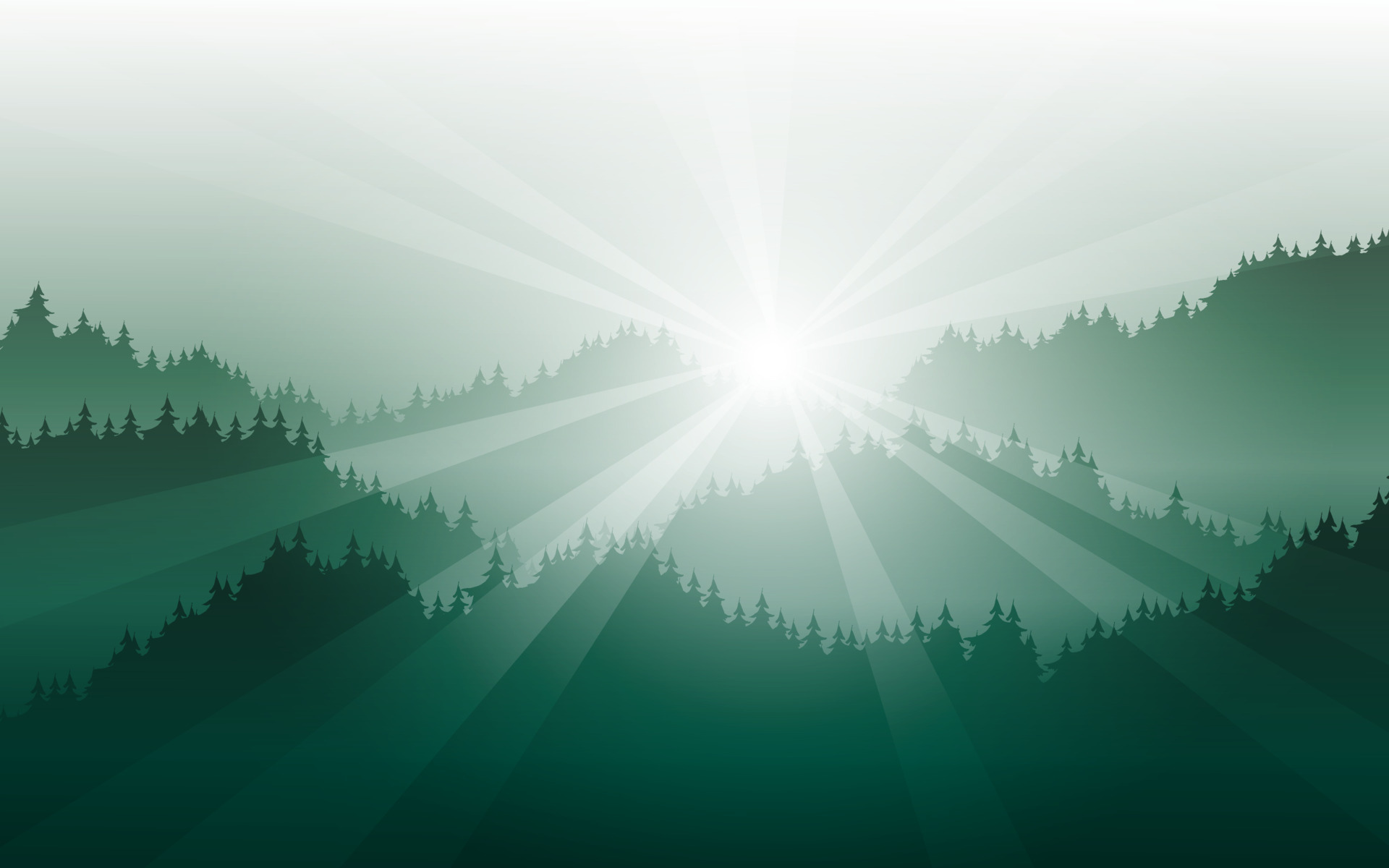 Nature abstract background with foggy pine forest and sunbeam 9169463