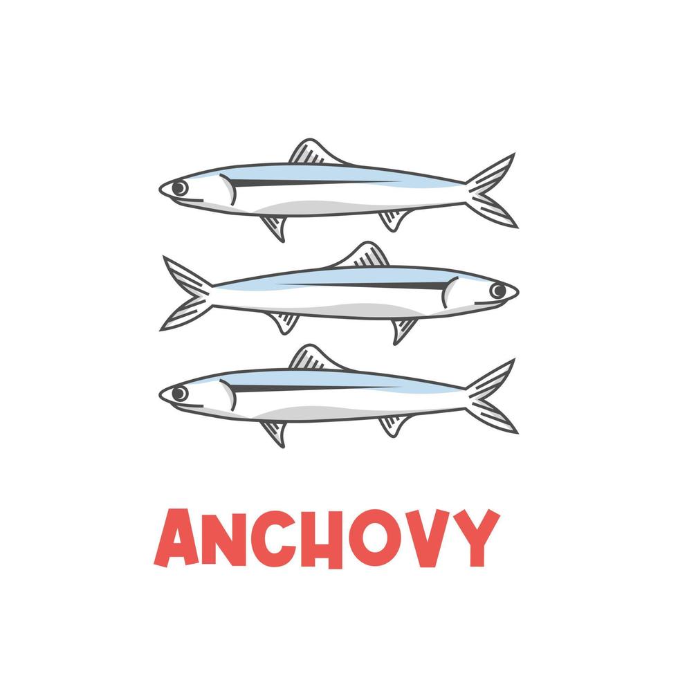 Simple anchovy vector illustration logo