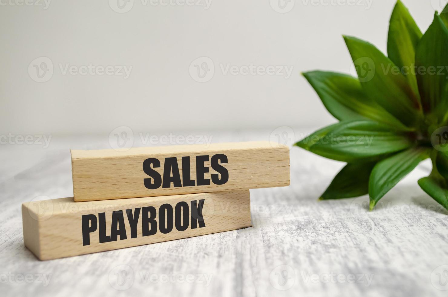 SALES PLAYBOOK words on wooden blocks and green plant on wooden background photo