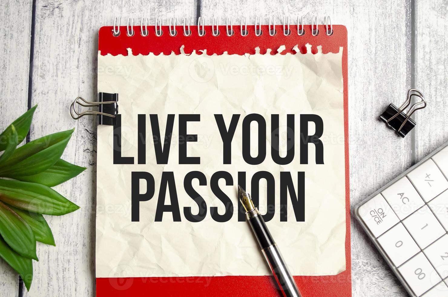 LIVE YOUR PASSION text on notepad and pen on wooden background photo