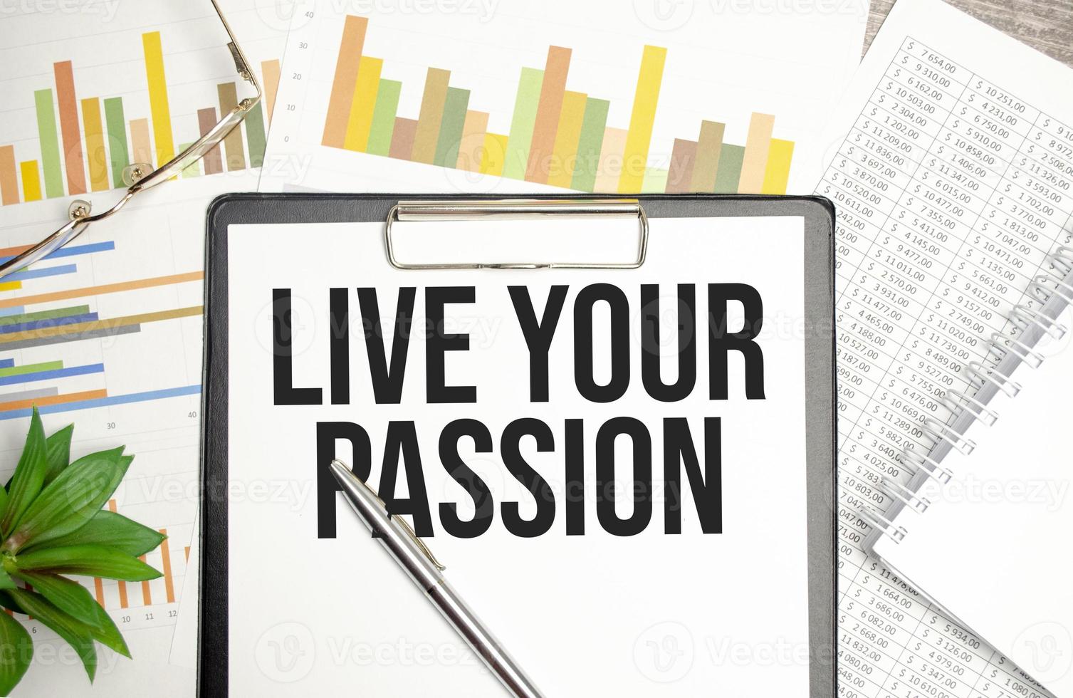 LIVE YOUR PASSION text on notepad and pen on wooden background photo