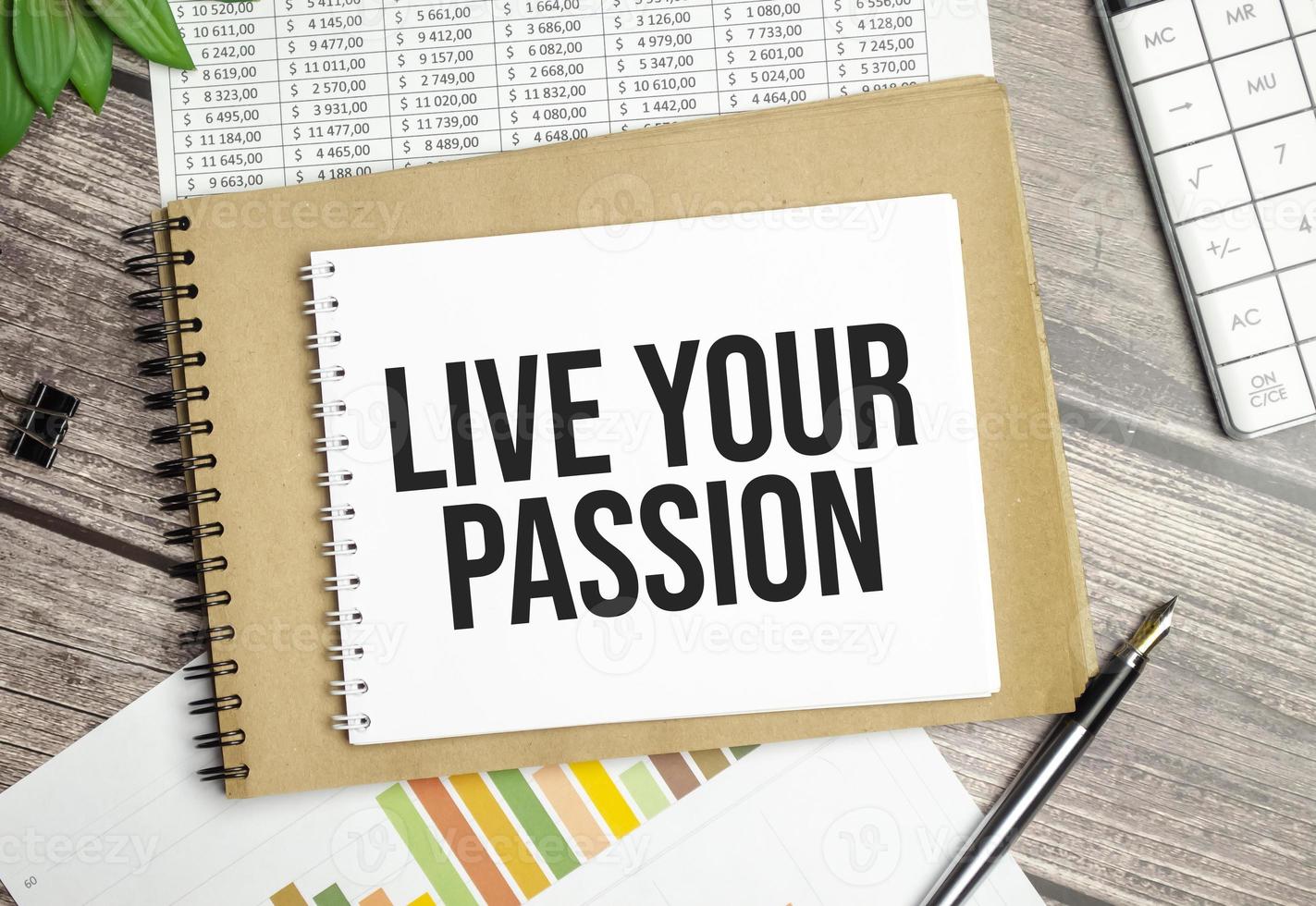 LIVE YOUR PASSION text on notepad and pen on wooden background photo