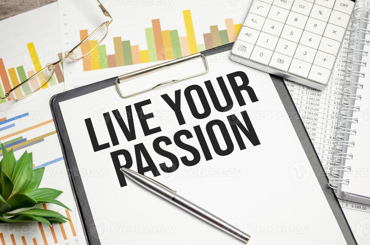LIVE YOUR PASSION text on notepad and pen on wooden background photo