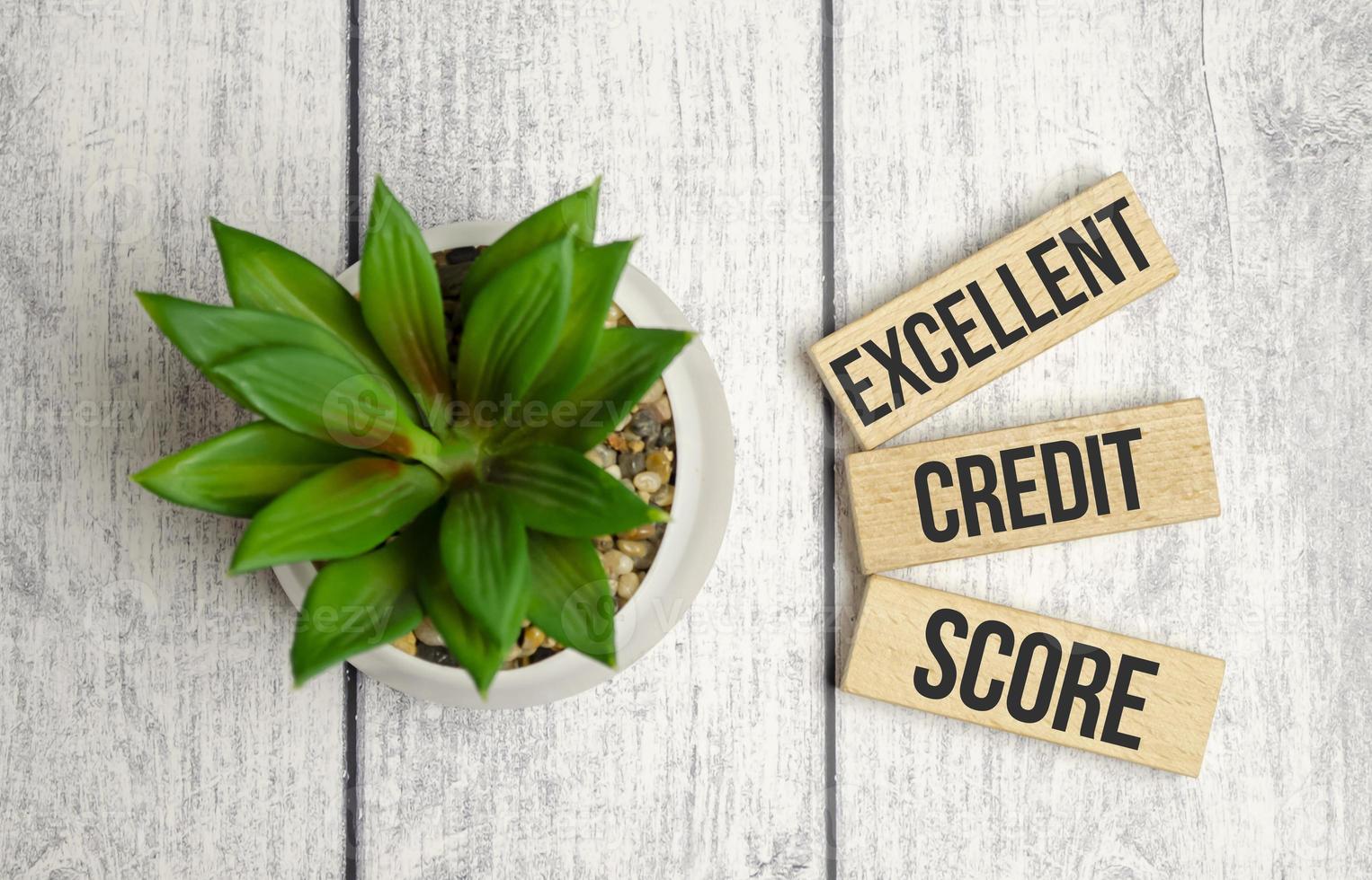 Credit Score Excellent on wooden blocks and plant photo