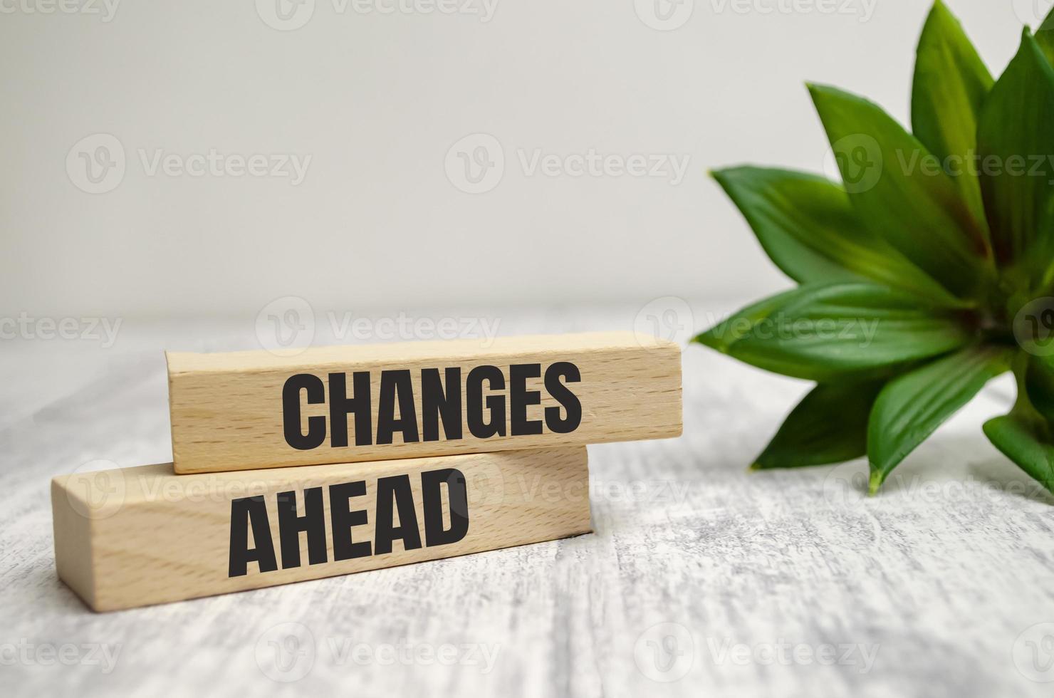 CHANGES AHEAD text on a wooden block with green plant photo