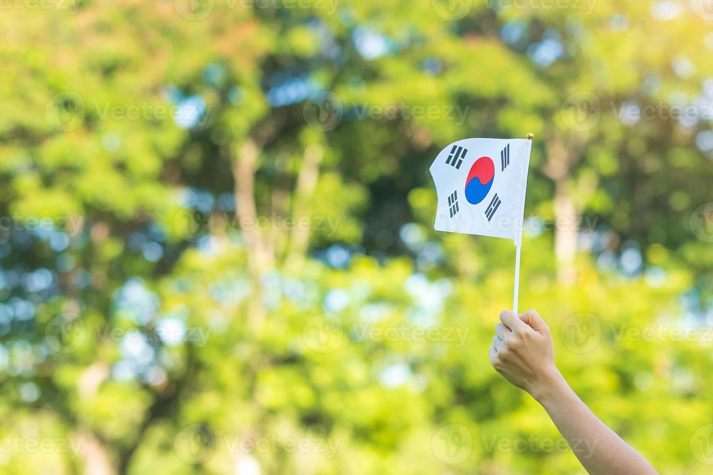 mano que sostiene la bandera de corea en el fondo de la naturaleza. fundación nacional, gaecheonjeol, festividad nacional pública, día de la liberación nacional de corea y conceptos de celebración feliz foto