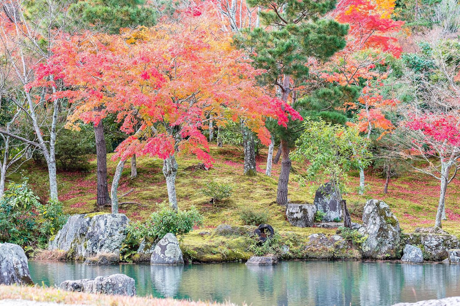colorful leaves garden and pond inside Tenryuji temple, landmark and popular for tourists attractions in Arashiyama, Kyoto, Japan. Fall Autumn season, Vacation,holiday and Sightseeing concept photo