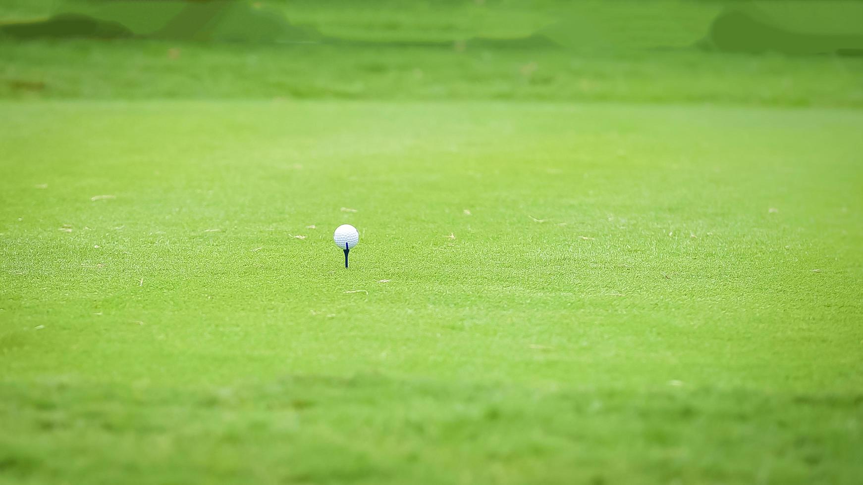 A view landscape green grass at golf course , big trees with sunlight sky background photo