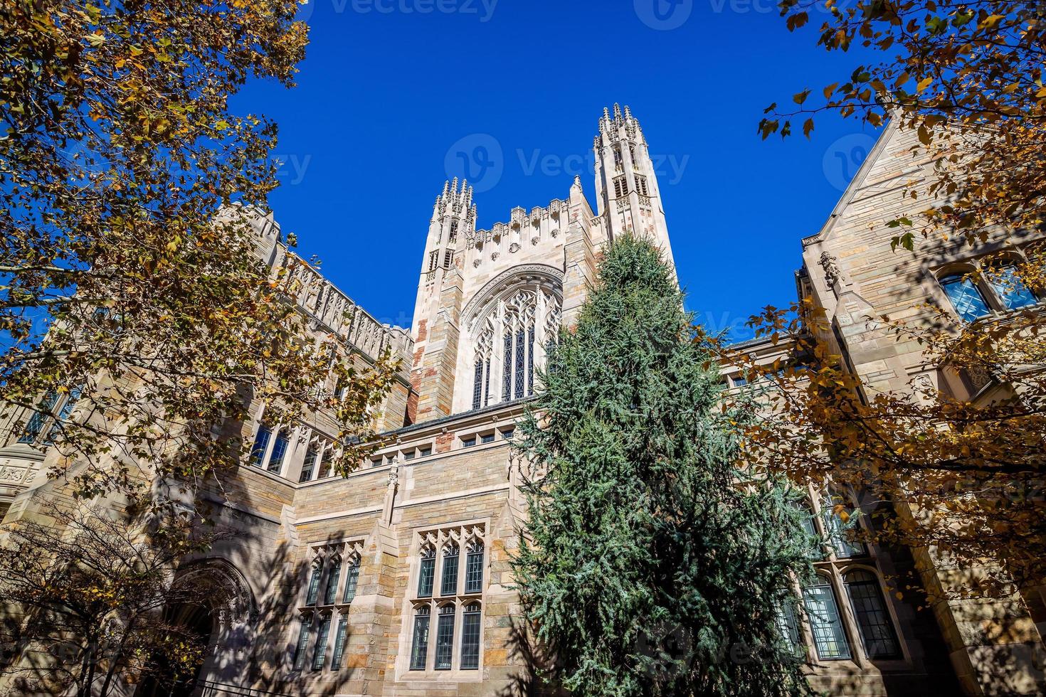 New Haven city downtown skyline cityscape of Connecticut, USA photo