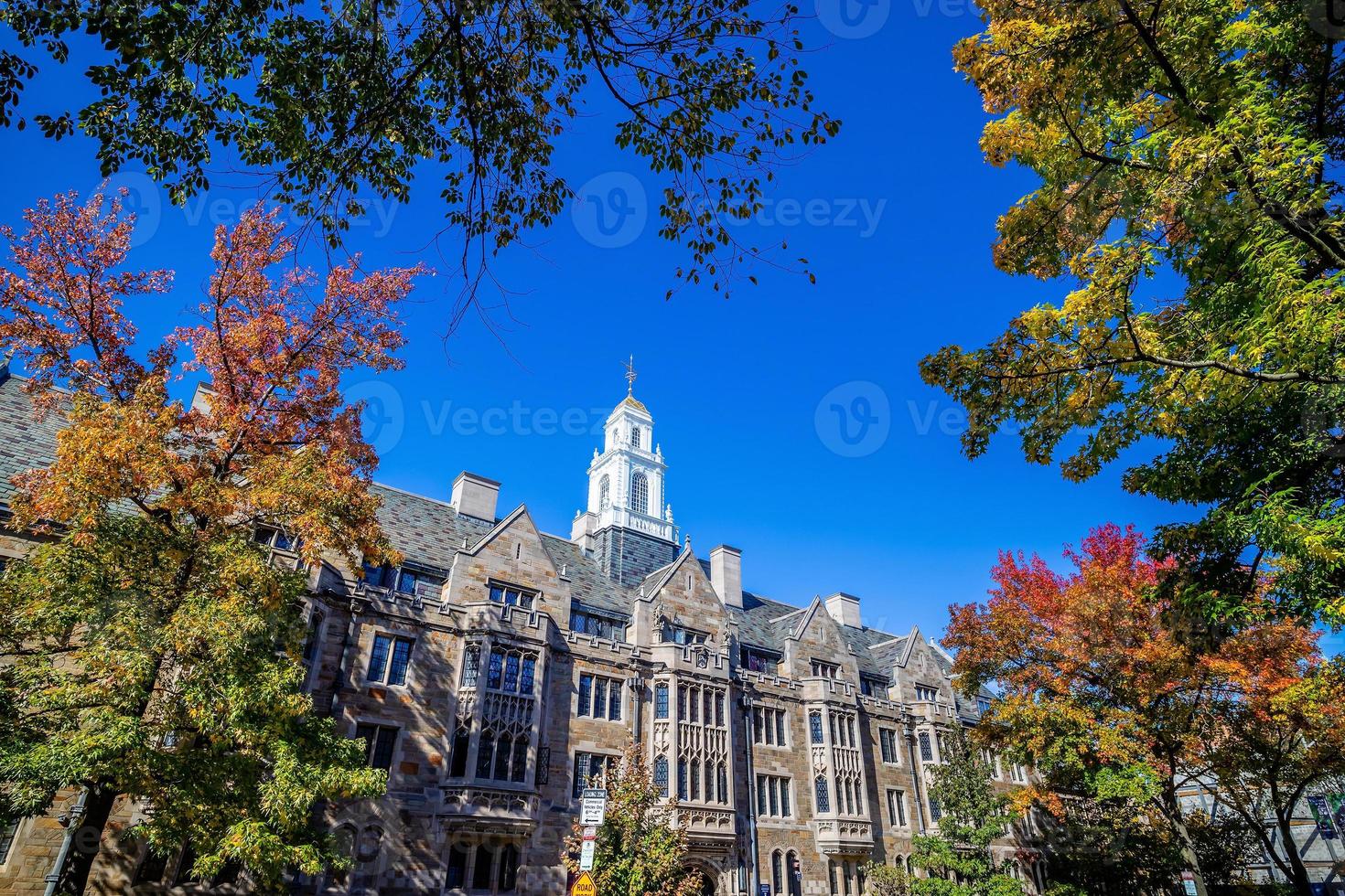 New Haven city downtown skyline cityscape of Connecticut, USA photo