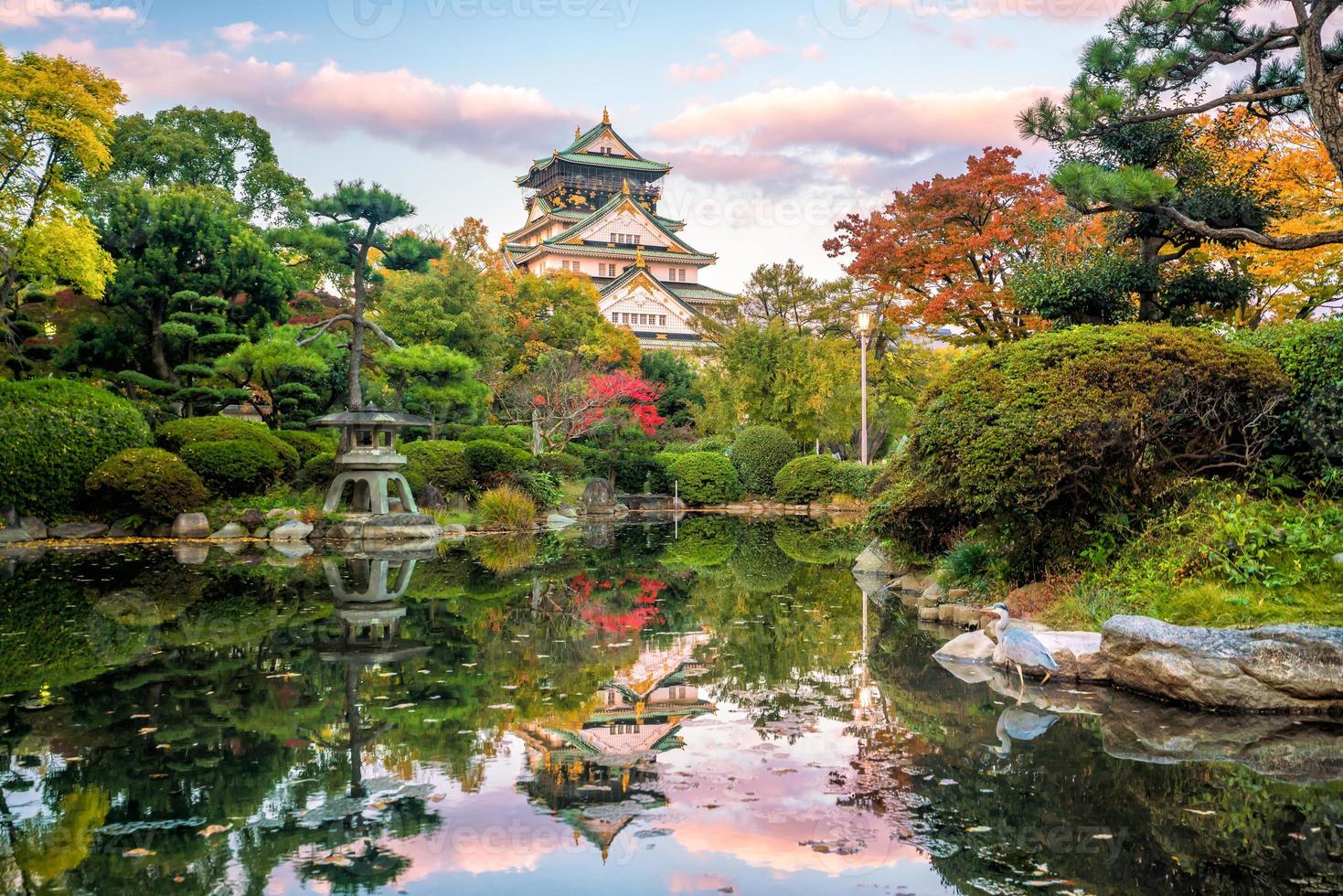 Osaka Castle in Osaka photo