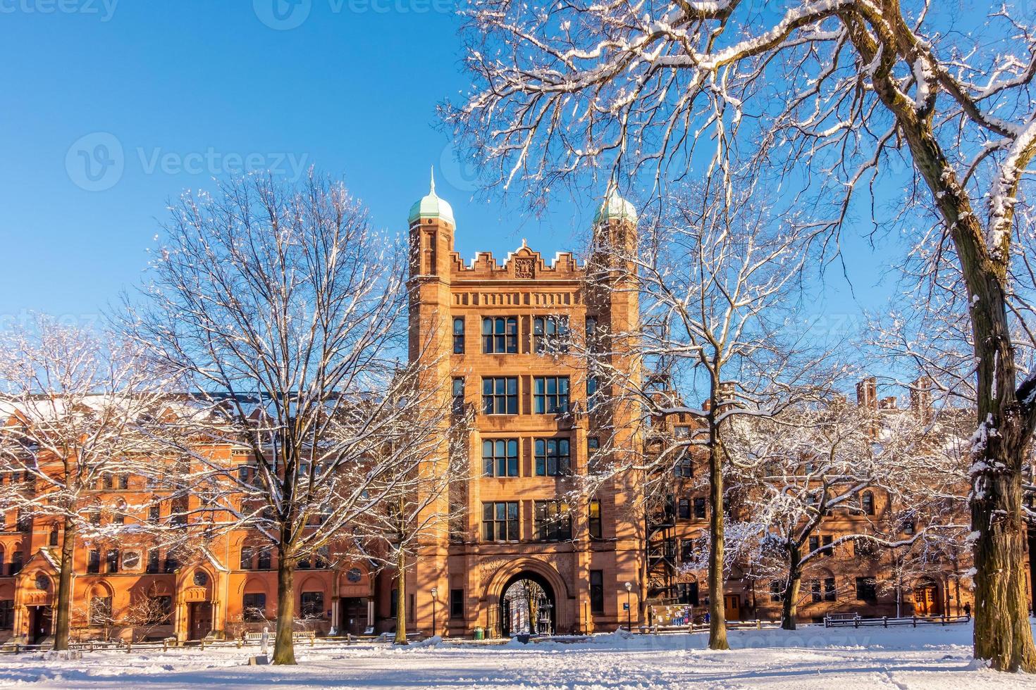 New Haven city downtown skyline cityscape of Connecticut, USA photo