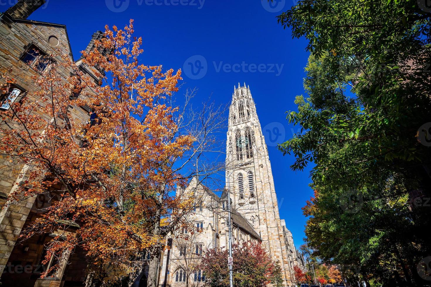 New Haven city downtown skyline cityscape of Connecticut, USA photo