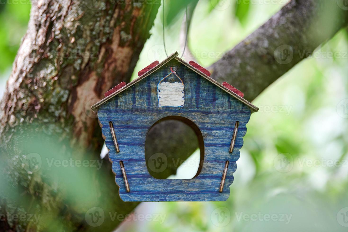 Birdhouse on tree photo