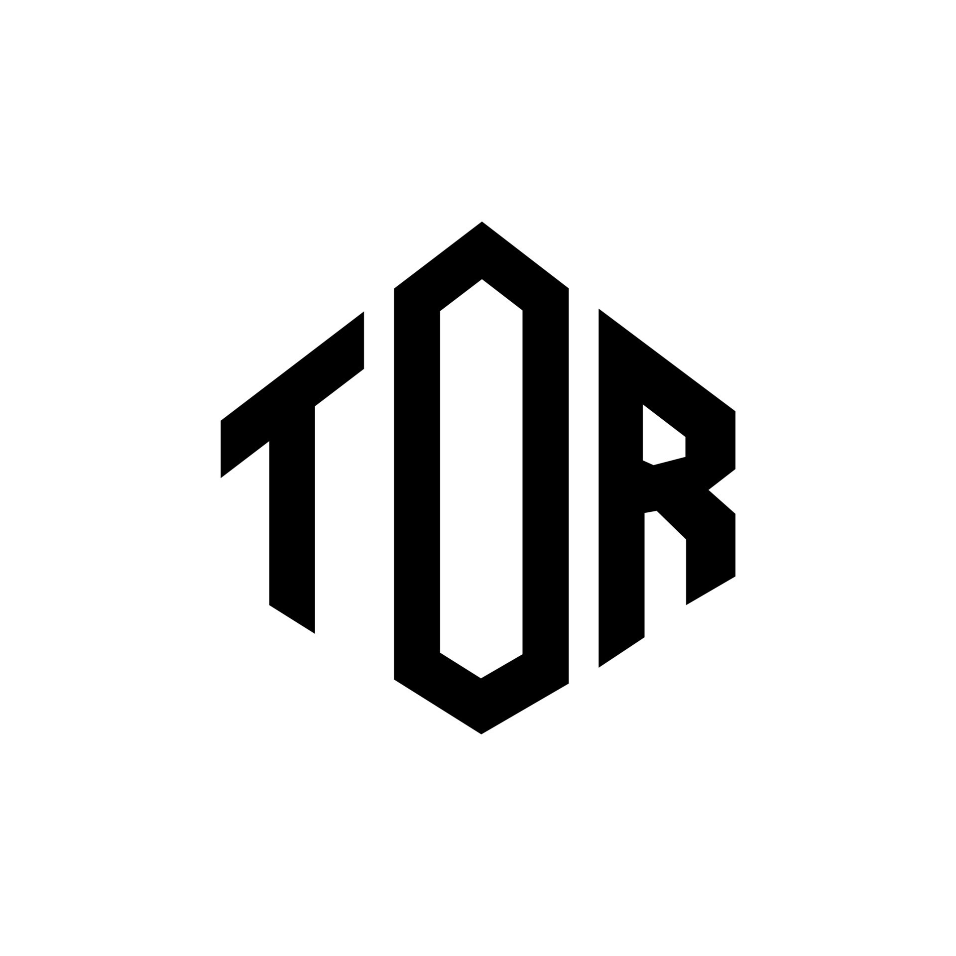 Details more than 130 tor logo latest