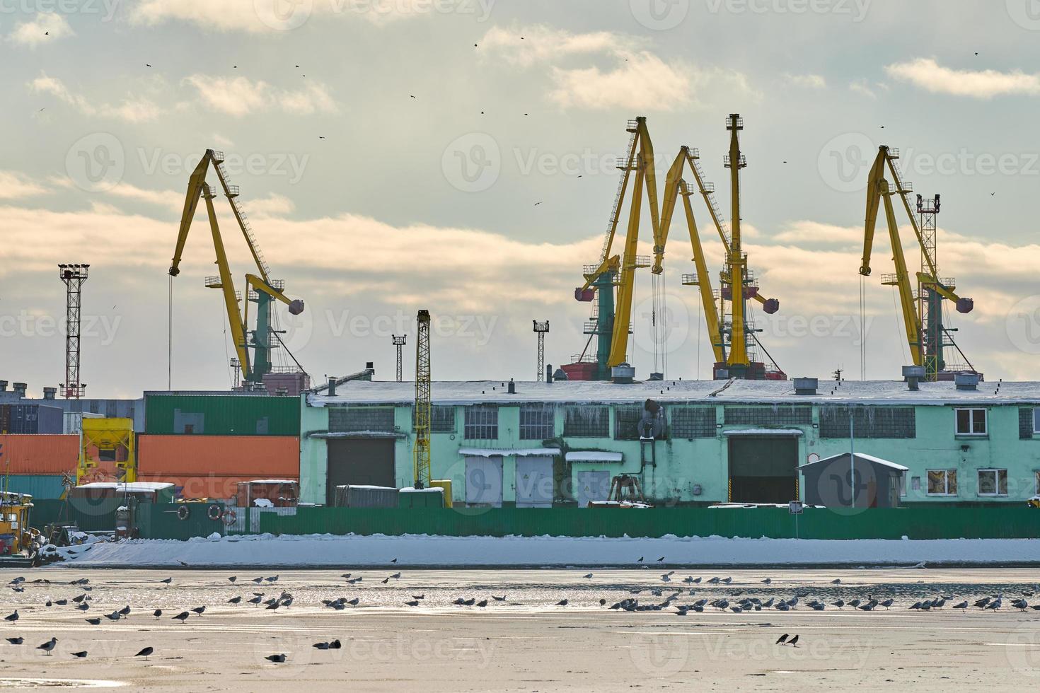 Harbor cranes, container ship terminal, cargo container yard photo