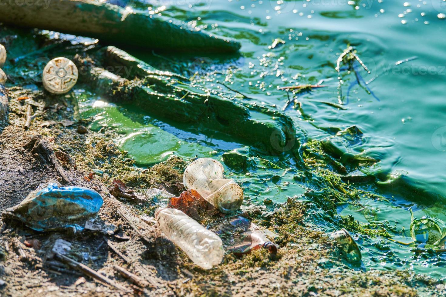 Environmental water pollution photo