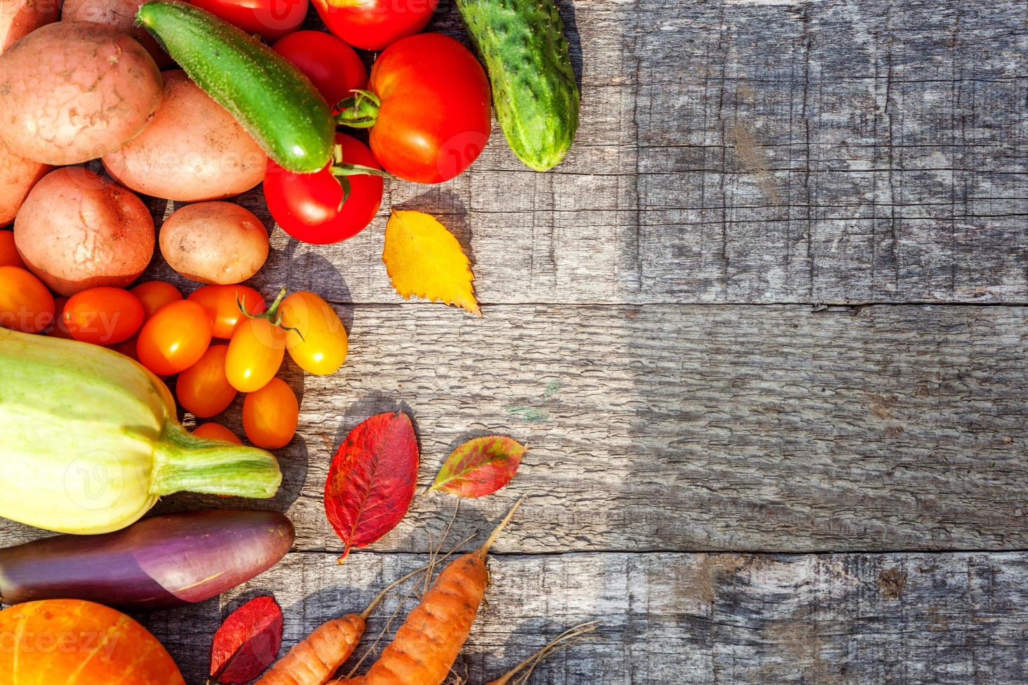 Assortment different fresh organic vegetables on country style wooden background. Healthy food vegan vegetarian dieting concept. Local garden produce clean food. Frame top view flat lay copy space. photo