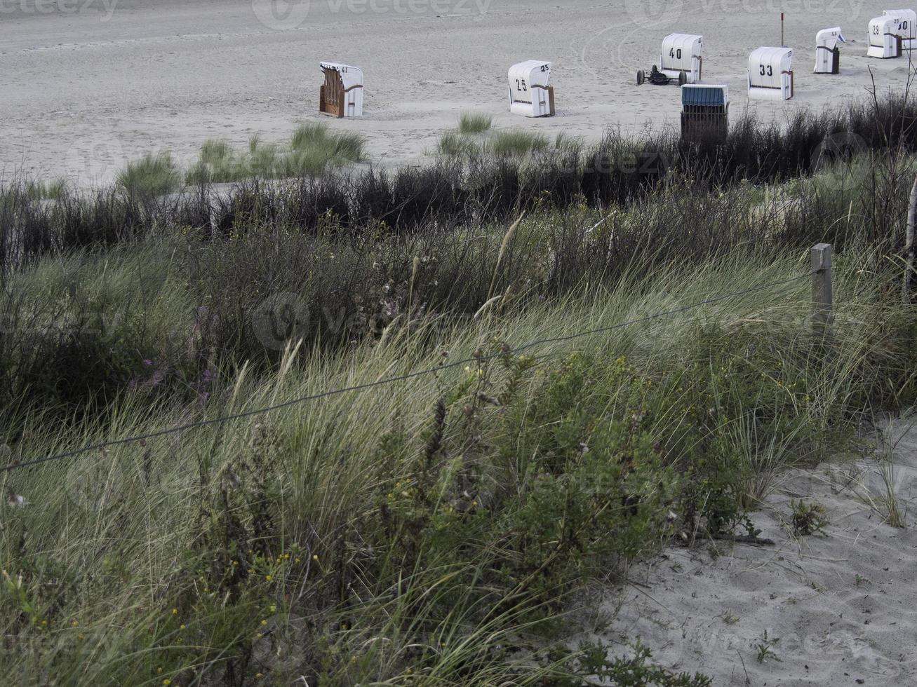 the island Spiekeroog in the north sea photo