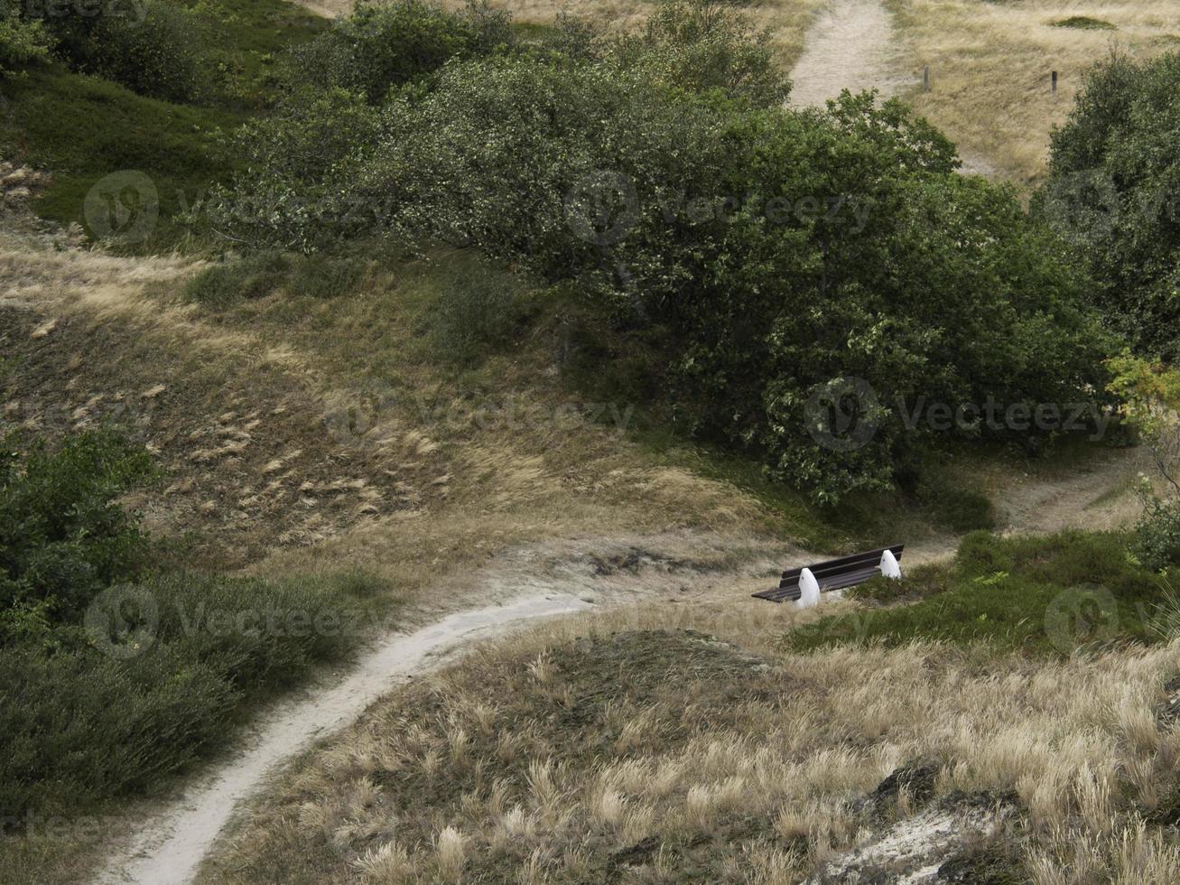 the island of spiekeroog photo