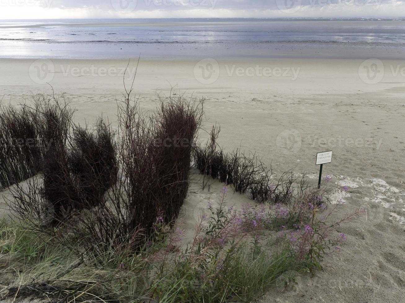 Spiekeroog island in germany photo