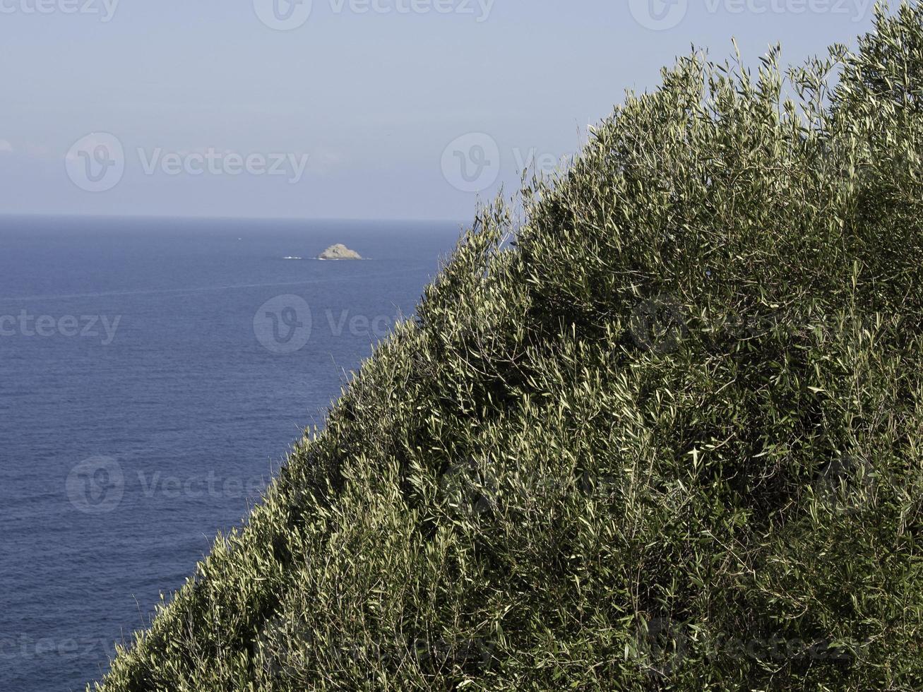 the island corsica photo